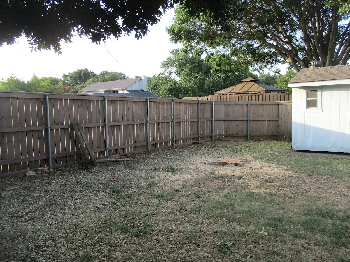 Cleared yard after professional tree removal in Gibbsboro